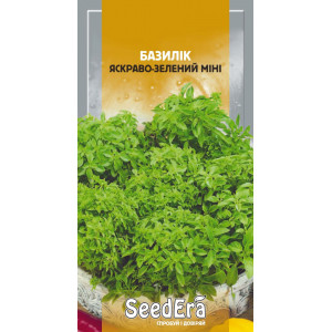 Базилік яскраво-зелений Міні Базилік яскраво-зелений Міні