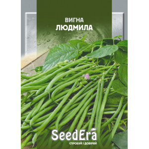 Квасоля китайська вигна Людмила / 10 шт