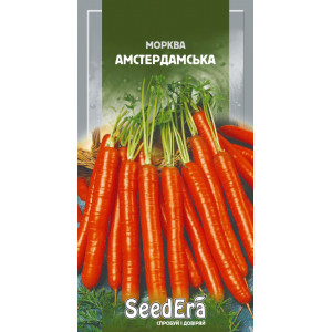 Морква Столова Амстердамська Морква Столова Амстердамська