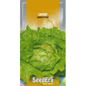 Салат Дивограй (качанний)