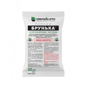 Брунька р.к