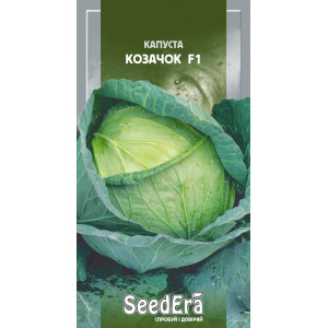 Капуста білоголова Козачок F1