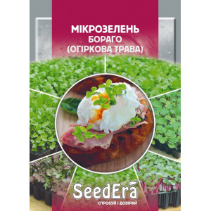 Мікрозелень Бораго (огіркова трава) Мікрозелень Бораго (огіркова трава)