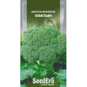 Капуста броколі Себастьян