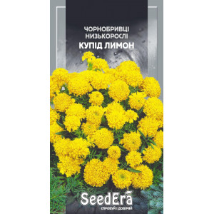 Чорнобривці низькорослі Купід Лимон / 0,5 г Чорнобривці низькорослі Купід Лимон / 0,5 г
