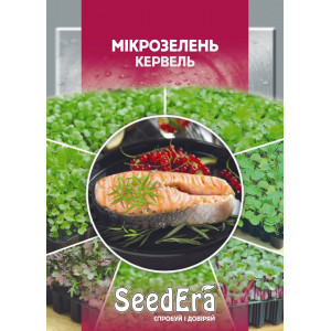 Мікрозелень Кервель Мікрозелень Кервель