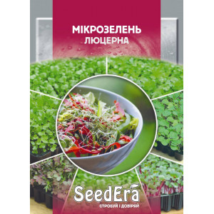 Мікрозелень Люцерна Мікрозелень Люцерна