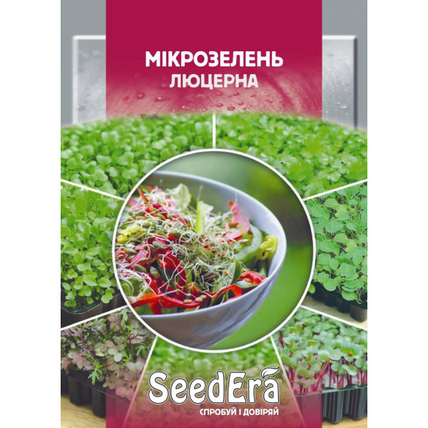 Мікрозелень Люцерна Мікрозелень Люцерна