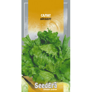 Салат Айсберг (качанний)