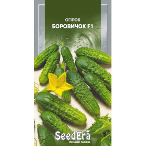 Огірок Боровичок F1 / 10 шт