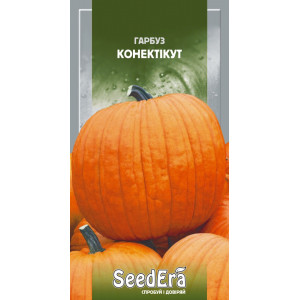 Гарбуз Конектікут