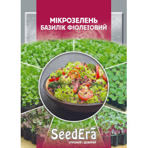 Мікрозелень Базилік фіолетовий Мікрозелень Базилік фіолетовий