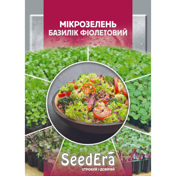 Мікрозелень Базилік фіолетовий Мікрозелень Базилік фіолетовий