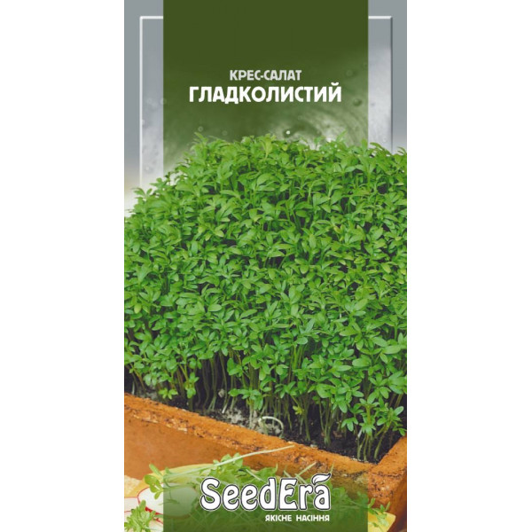 Крес-Салат Гладколистий Крес-Салат Гладколистий