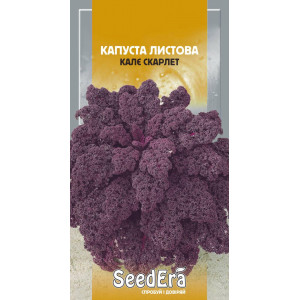 Капуста листова Калє Скарлет / 0,25 г Капуста листова Калє Скарлет / 0,25 г