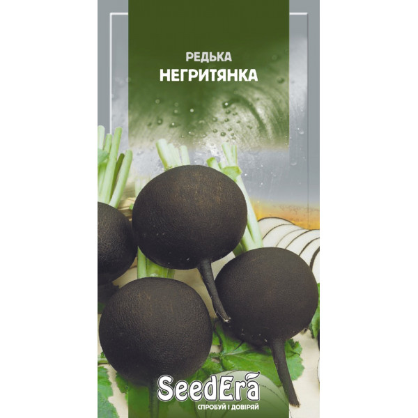 Редиска Негритянка Редиска Негритянка