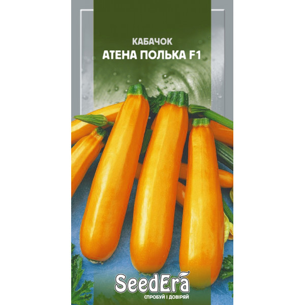 Кабачок Атена Полька F1 Кабачок Атена Полька F1