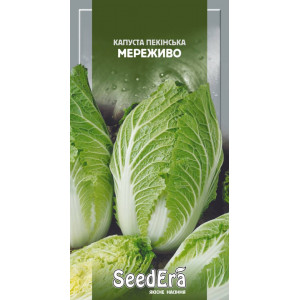 Капуста пекінська Мереживо