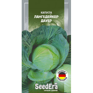 Капуста білоголова Лангедейкер Дауер