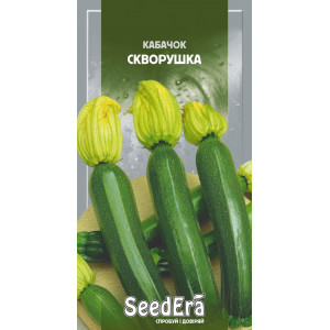 Кабачок Скворушка