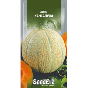 Диня Канталупа / 10 шт Диня Канталупа / 10 шт