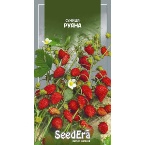 Земляника Руяна / 0,05 г Земляника Руяна / 0,05 г