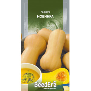 Гарбуз Новинка