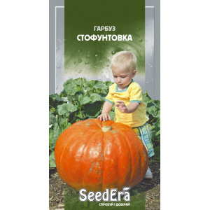 Гарбуз Стофунтовка