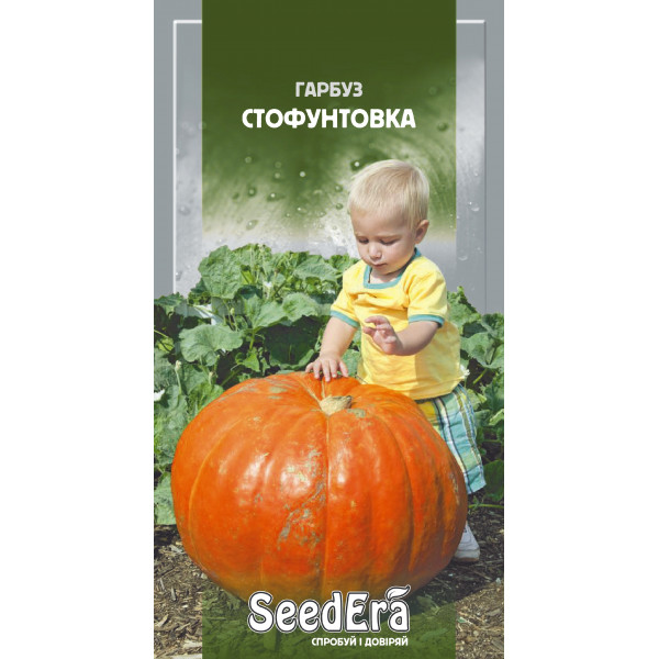 Гарбуз Стофунтовка Гарбуз Стофунтовка