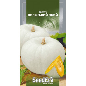 Гарбуз Волжський Сірий