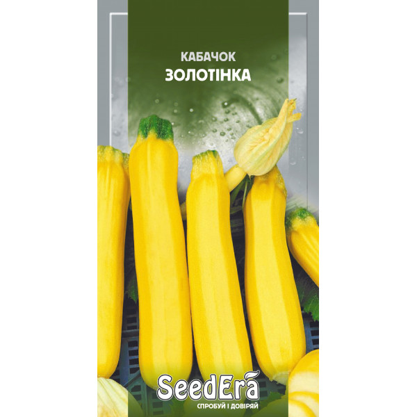 Кабачок Золотінка Кабачок Золотінка