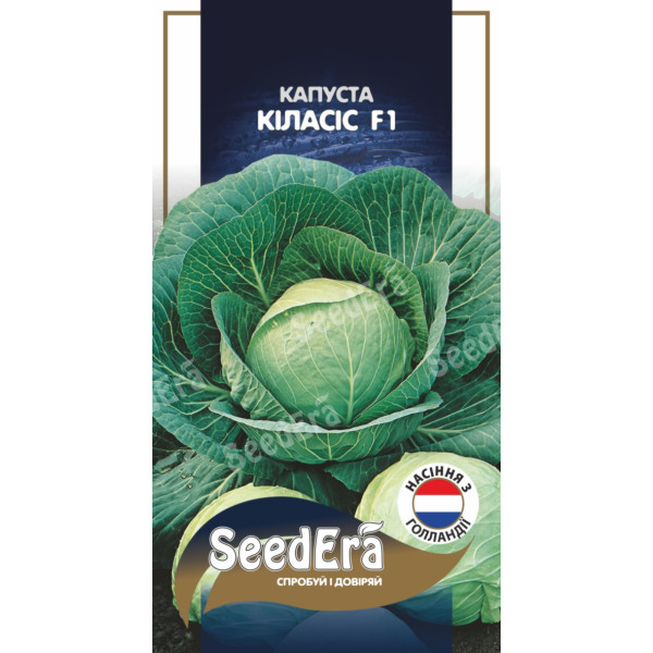Капуста білоголова Кіласіс F1 / 20 шт Капуста білоголова Кіласіс F1 / 20 шт