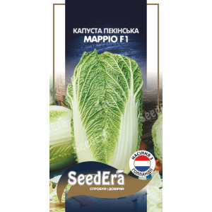 Капуста пекінська Марріо F1 / 20 шт