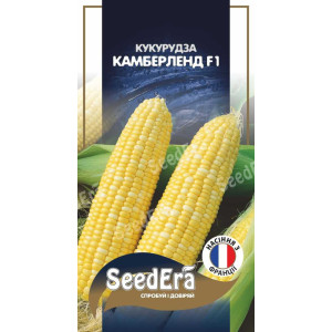 Кукурудза цукрова Камберленд F1 / 20 шт Кукурудза цукрова Камберленд F1 / 20 шт