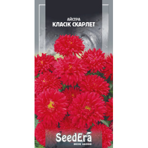 Айстра низькоросла Класік Скарлет / 0,25 г