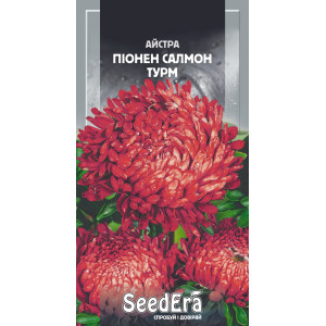 Айстра високоросла Піонен Салмон Турм / 0,25 г