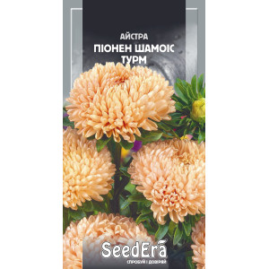 Айстра високоросла Піонен Шамоіс Турм / 0,25 г