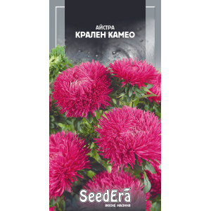 Айстра  високоросла Крален Камео / 0,25 г
