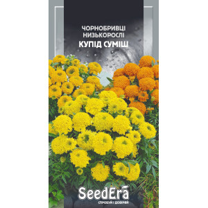 Чорнобривці Низькорослі Купід Суміш / 0,5 г Чорнобривці Низькорослі Купід Суміш / 0,5 г