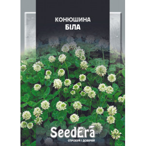 Конюшина Біла