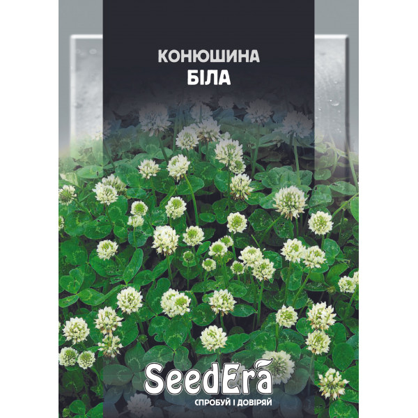 Конюшина Біла Конюшина Біла