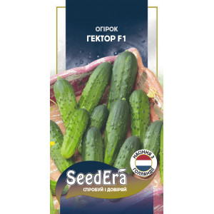 Огірок Гектор F1 / 20 шт