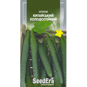 Огірок Китайський Холодостійкий / 10 шт Огірок Китайський Холодостійкий / 10 шт