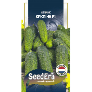 Огірок Кріспіна F1 / 10 шт Огірок Кріспіна F1 / 10 шт