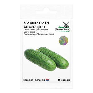 Огірок СВ 4097 ЦВ F1 / 10 шт Огірок СВ 4097 ЦВ F1 / 10 шт