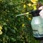 Пневматичний обприскувач 1,5 л, AQUA SPRAY CLEAR