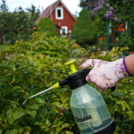 Пневматичний обприскувач 2 л, AQUA SPRAY CLEAR
